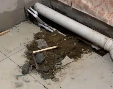 鹿寨卫生间漏水检测哪家好